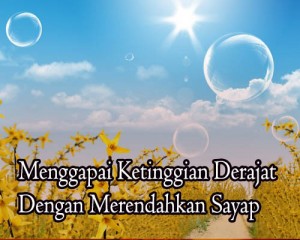 adab-4