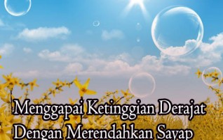Menggapai Ketinggian Derajat dengan Merendahkan Sayap