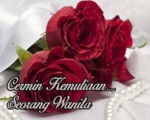 cermin kemuliaan seorang wanita