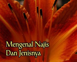 fikih ibadah 4
