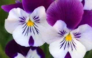 Ruang Konsultasi Qonitah Edisi 03