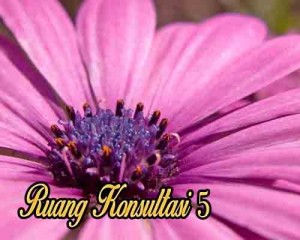 konsultasi-05