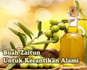 manfaat-zaitun-3