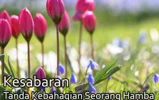 Kesabaran, Tanda Kebahagian Seorang Hamba
