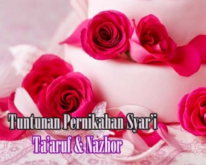 ta'aruf-nazhor