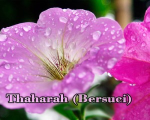 thaharah-3