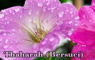 Thaharah (Bersuci)