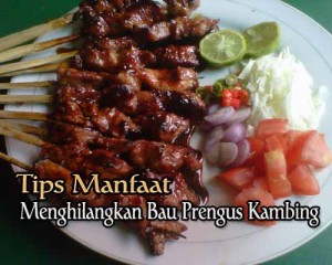 tips-manfaat-04