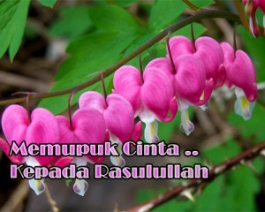 titian-sunnah-3
