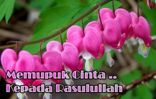 Memupuk Cinta Kepada Rasulullah