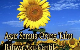 Agar Semua Orang Tahu Bahwa Aku Cantik