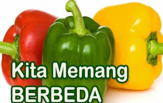 Kita Memang Berbeda