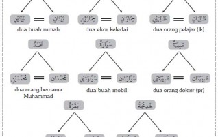 Isim Ditinjau dari Jumlahnya (اَلْاِسْمُ بِاعْتِبَارِ عَدَدِهِ)