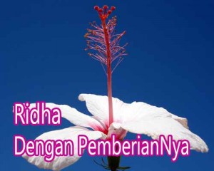 buah-kasih-6