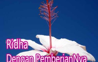 Ridha Dengan Pemberian-Nya