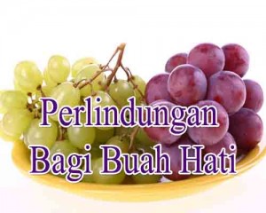 buah-kasih-7