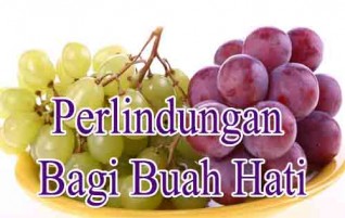 Perlindungan Bagi Buah Hati