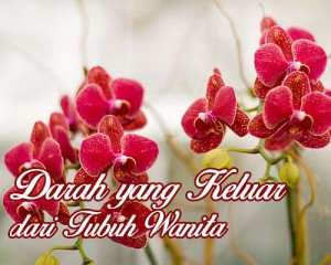 fikih-wanita-13