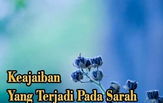 Keajaiban yang Terjadi pada Sarah