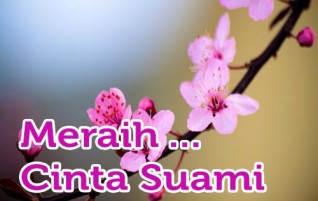 Meraih Cinta Suami