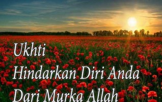 Ukhti, Hindarkan Diri Anda dari Murka Allah