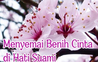 Menyemai Benih Cinta di Hati Suami