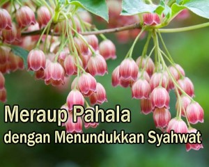 tadabur-alquran-13
