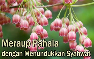 Meraup Pahala dengan Menundukkan Syahwat
