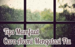 Tips Manfaat Edisi 12