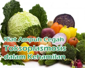 tips-manfaat-13