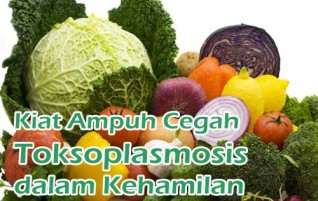 Tips Manfaat Edisi 13