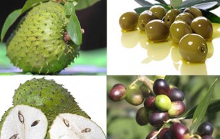 Tips Manfaat Edisi 14