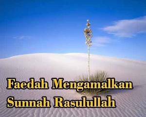 titian-sunnah-9