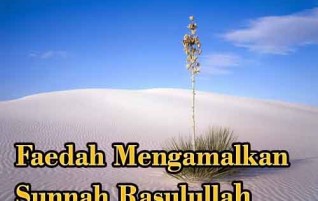 Faedah Mengamalkan Sunnah Rasulullah shalallahu ‘alaihi wassalam