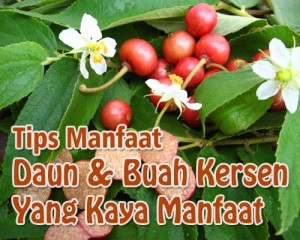 tips-manfaat-16